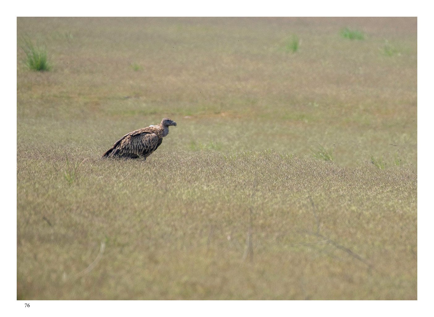 Guardians of the Sky — page 76